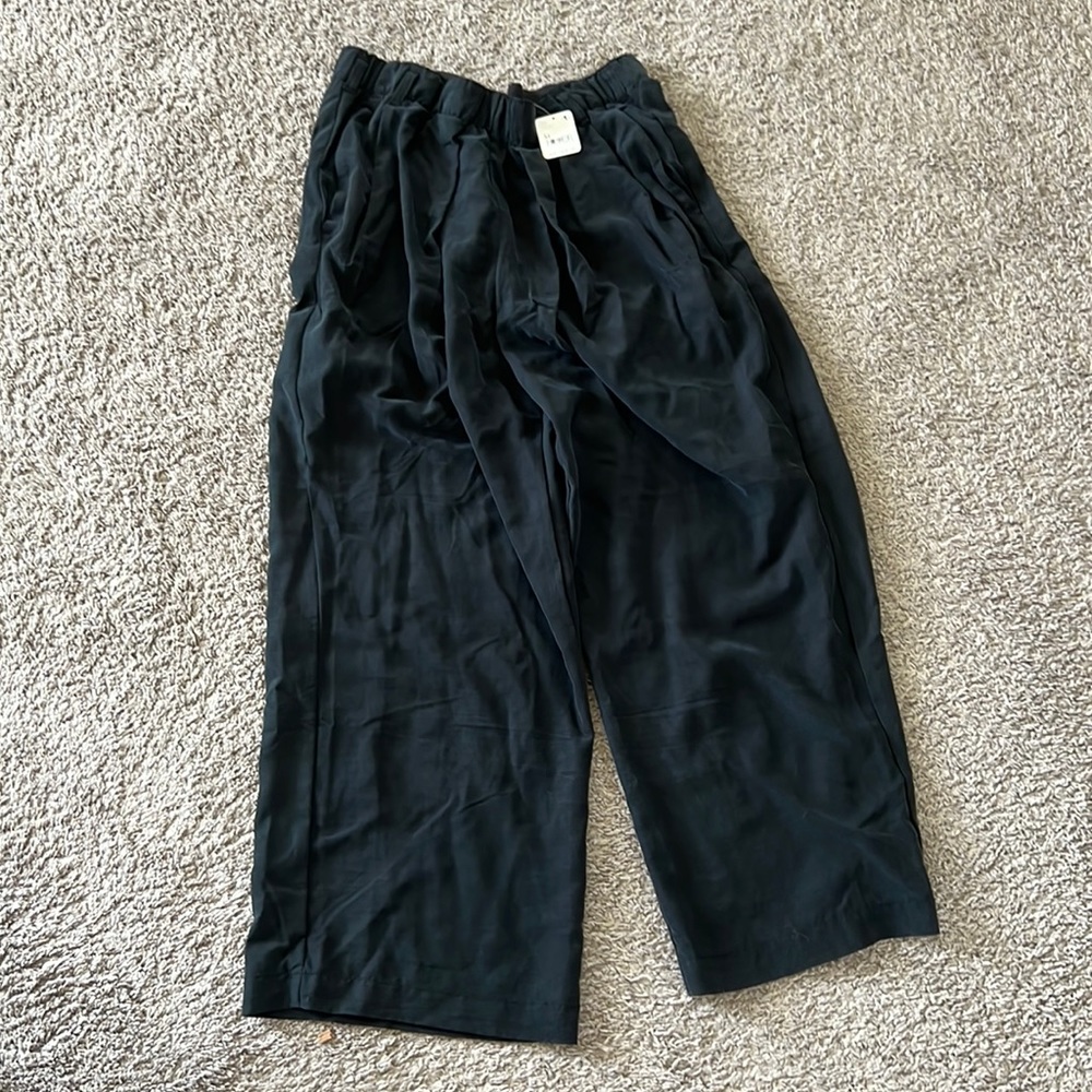 Free People Nothing to say pleated pull in pant